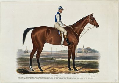 Gange - Franz Krüger