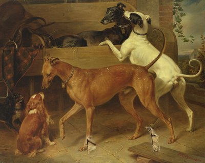 Les chiens de Kruger, 1855 - Franz Krüger
