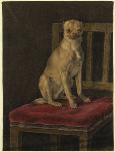 Carlin - Franz Krüger