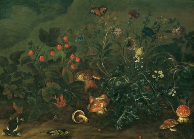 Morceau de pelouse avec fraises et grillon - Franz Michael Siegmund von Purgau d. Ä.