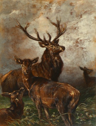Cerf et biches - Franz Xaver von Pausinger