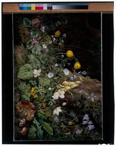 Fleurs sauvages au pied d