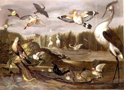 Paysage fluvial avec un geai, un traquet, un colvert, une bergeronnette et d