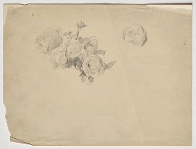 Étude de roses - Franz von Matsch