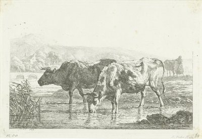 Deux vaches buvant - Frédéric Théodore Faber