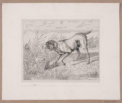 Un chien de chasse - Frede Aamodt