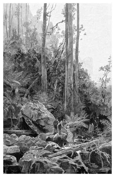 Un ravin dans les Blue Mountains, Australie, 1886 - Frederic B. Schell