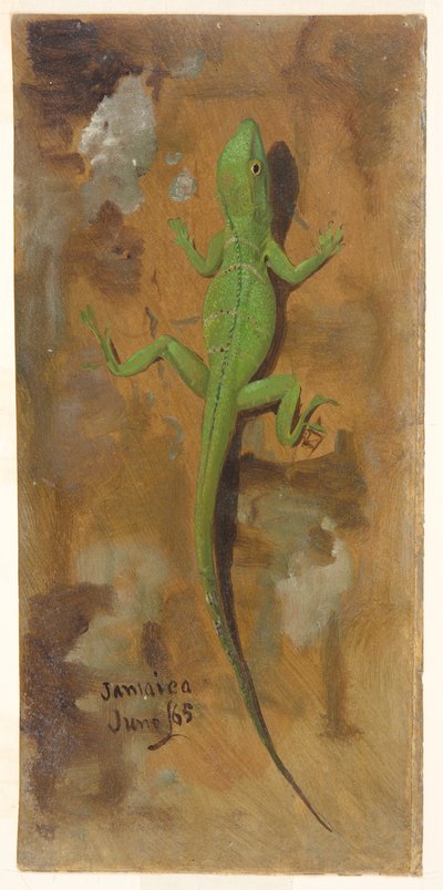 Un lézard, Jamaïque - Frederic Edwin Church