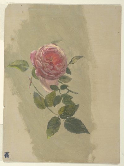 Une branche de rose - Frederic Edwin Church