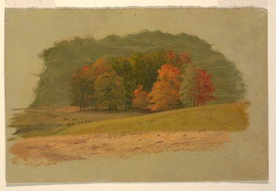 Paysage d