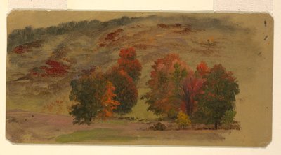 Paysage d