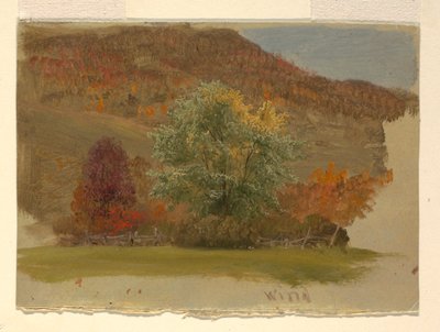 Paysage d