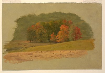 Paysage d