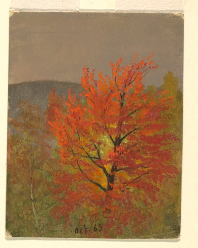 Paysage d