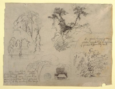 Études botaniques et une maison, probablement de Colombie - Frederic Edwin Church