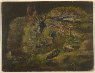Rocher dans les bois - Frederic Edwin Church