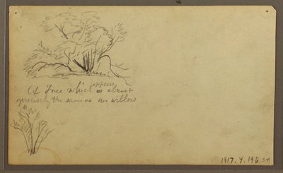 Dessin, Une hutte sur des poteaux, Guayaquil, Équateur, mai 1857 - Frederic Edwin Church