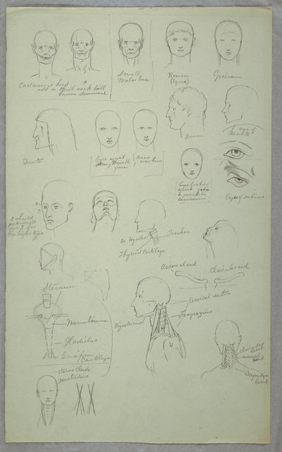 Dessin, études anatomiques, 1865-70 - Frederic Edwin Church