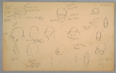Dessin, études anatomiques, 1865-70 - Frederic Edwin Church