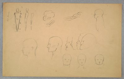 Dessin, études anatomiques, 1865-70 - Frederic Edwin Church