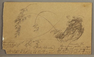 Dessin, brindilles de bambou, peut-être 1865-66 - Frederic Edwin Church