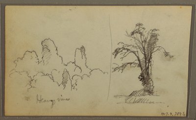 Dessin, Bireds, "Rocher dans la baie de Panama" ; Verso : "Vignes lourdes", 15 mai 1857 - Frederic Edwin Church