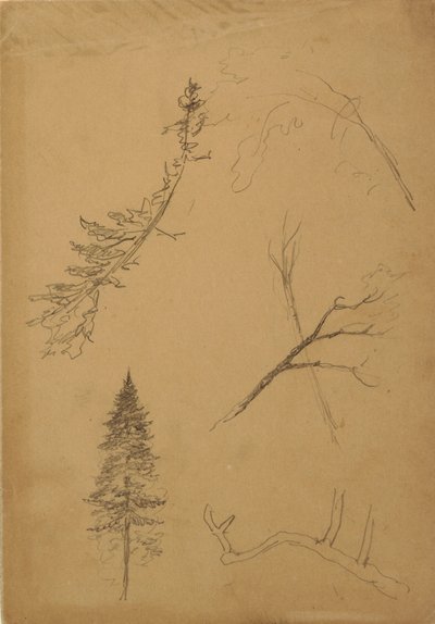 Dessin, croquis botaniques, 1888 - Frederic Edwin Church