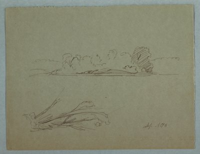 Dessin, croquis botaniques : paysage, arbres sur un rivage, septembre 1876 - Frederic Edwin Church