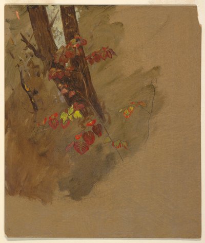 Dessin, études botaniques, 1860-70 - Frederic Edwin Church