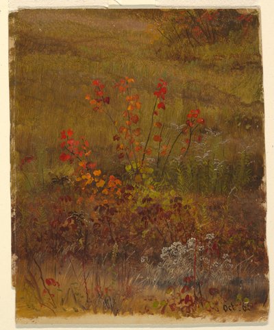 Dessin, études botaniques, octobre 1865 - Frederic Edwin Church