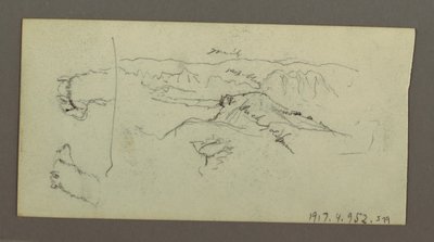 Dessin, Stuides de chameaux, buisson d