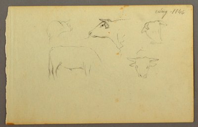 Dessin, vaches, 1844 - Frederic Edwin Church