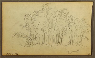 Dessin, vaches dans un paysage ; verso : bambou, 1857 - Frederic Edwin Church