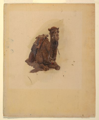 Dessin, dromadaire accroupi, 1868 - Frederic Edwin Church