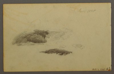 Dessin, Bouleau pourri, 1844 - Frederic Edwin Church