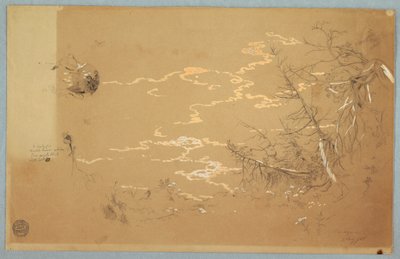 Dessin, Vue détaillée du bord de la banque canadienne, août 1858 - Frederic Edwin Church