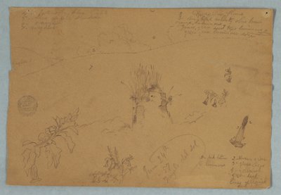 Dessin, Dessin.  Croquis botaniques et de nuages près de Quito, Équateur, 24 juin 1857 - Frederic Edwin Church