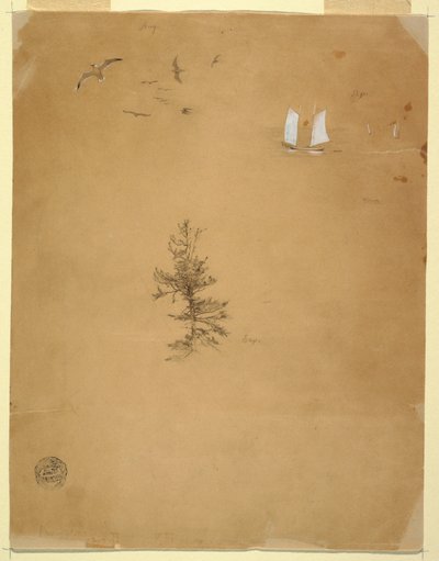 Dessin, mouettes, voiliers, arbre, août et septembre 1859 - Frederic Edwin Church