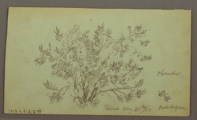 Dessin, tête d