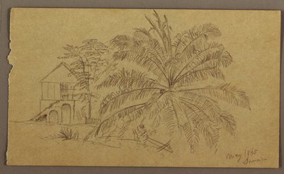 Dessin, maison et fougère, mai 1865 - Frederic Edwin Church