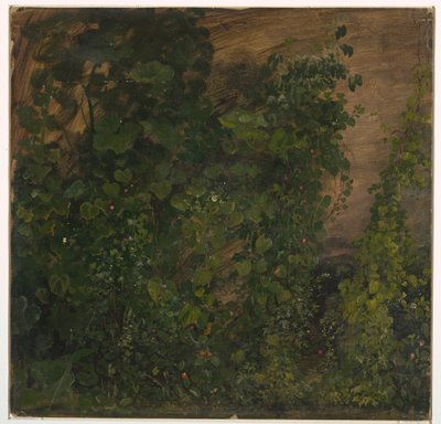 Dessin, Végétation de la jungle, 1865 - Frederic Edwin Church