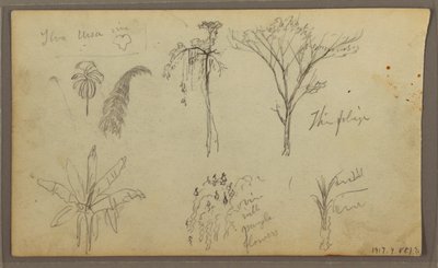 Dessin, paysage, Guayaquil, Équateur, 21 mai 1857 - Frederic Edwin Church