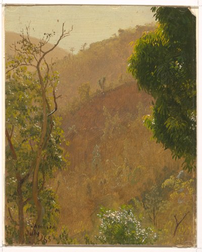 Dessin, paysage, juillet 1865 - Frederic Edwin Church