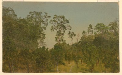 Dessin, paysages, juillet 1865 - Frederic Edwin Church