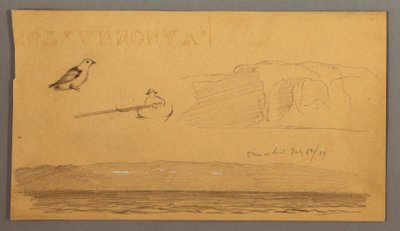 Dessin, Homme en bateau, oiseau, falaises, côte, 6 juillet 1859 - Frederic Edwin Church