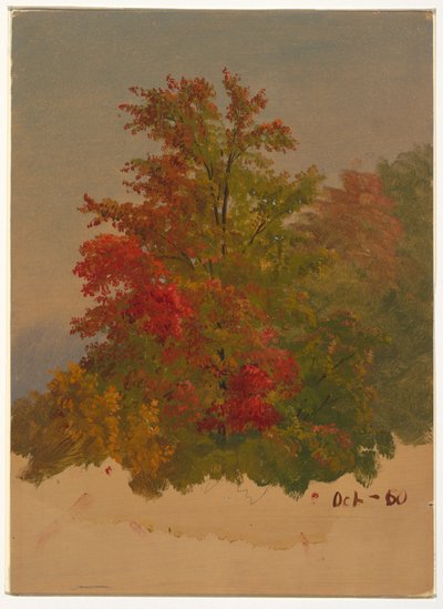 Dessin, Mt. Desert Island , Maine, octobre 1860 - Frederic Edwin Church