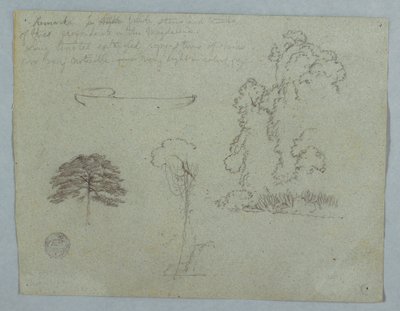 Dessin, Études de la nature du Rio Magdalena, Colombie :  Arbres, lianes et canoë, mai 1853 - Frederic Edwin Church