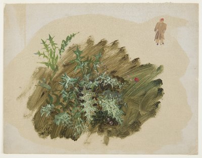 Dessin, études de plantes, 1865 - Frederic Edwin Church