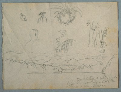 Dessin, bord de rivière avec montagnes et nuages, trois croquis botaniques et études de bustes d