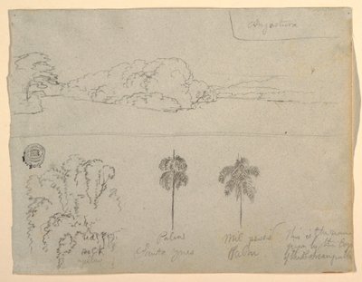 Dessin, Croquis de Colombie :  Rives d